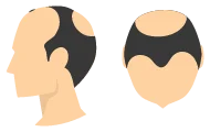 Volledig